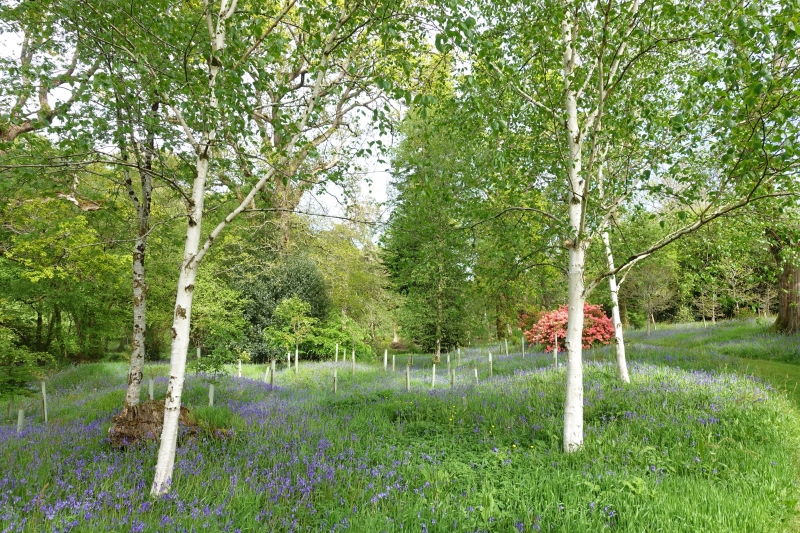 Trebartha Estate Garden and Country Garden at Lemarne